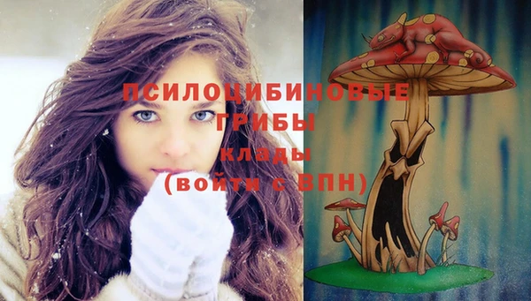 стаф Заволжье