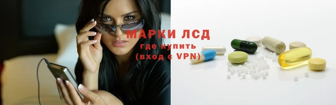 стаф Заволжье