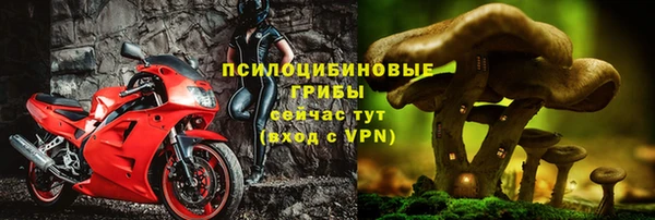 стаф Заволжье